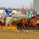 William and Mary impresses in Coin Collector score