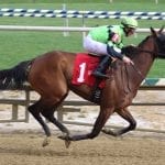 O Dionysus returns to winning form in turf bow