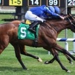 Charles Town Classic: Something Awesome proves best