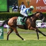 Graded turfers Ghost Hunter, Ring Weekend clash in Henry S. Clark