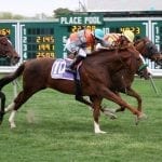 Derby champ Justify to head to Preakness