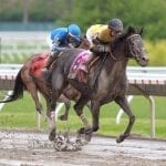 Good Magic confirmed for Preakness start