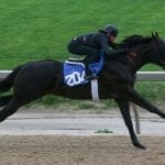 In racing, “Where is the conversation about race?”