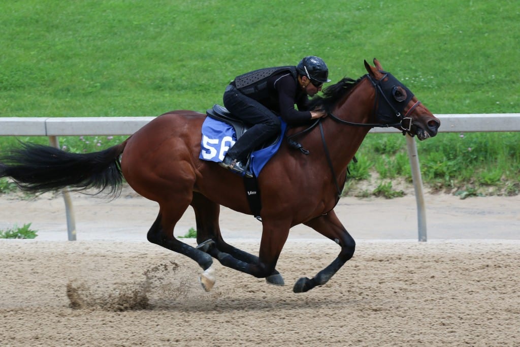 Fasig-Tipton