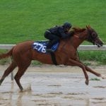 Justify prevails narrowly in foggy Preakness