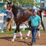 Five tips for picking a Preakness winner