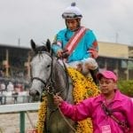Preakness odds through Friday’s racing
