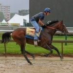 Black-Eyed Susan: Trainer Gorder gets back to top of sport