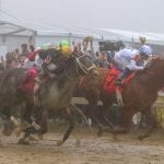 Breeders’ Cup: Spotlight beckons for Sacco, Mind Control