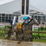 Maryland Jockey Club names new racing secretary; VP-Racing Hale named to new position
