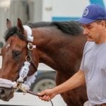 Fasig-Tipton sale to begin at 2:00