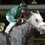 Limited View headed to G3 Miss Preakness