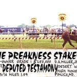 Pimlico Special: The longer the better for Armando R