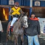 Pimlico forced to cancel Sunday card after four races
