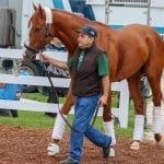 Champ World Approval looks to regain winning form in G2 Dixie
