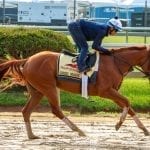 Pimlico earns NTRA safety reaccreditation