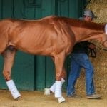 Monmouth sports betting: “We needed a break”