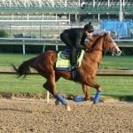 Sir Dudley Digges to seek first graded win in Dixie