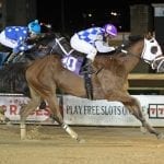 Delaware Park Handicappers’ Notebook 2019 Vol. 12