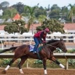Nominations out for G2 Black-Eyed Susan Stakes