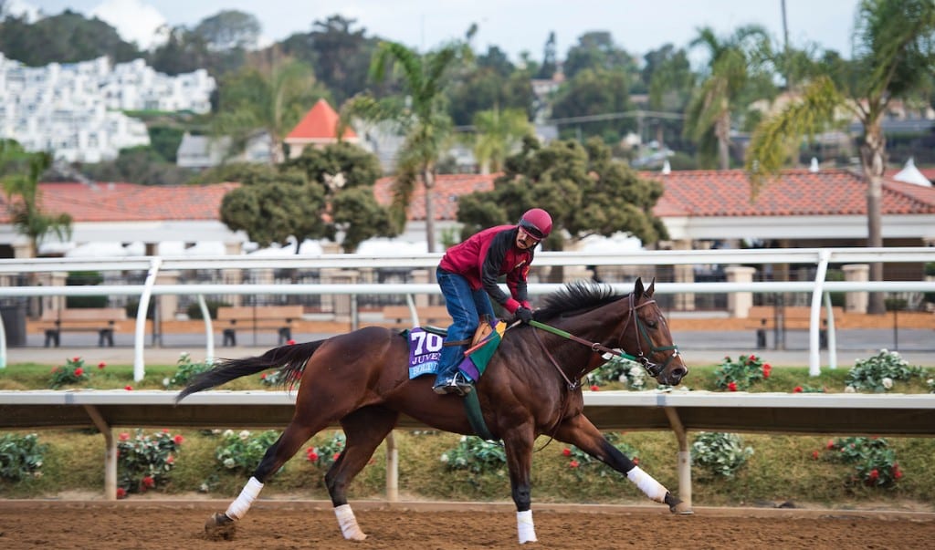 Bolt d'Oro