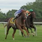 Chad Brown loads up for G1 United Nations