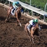 Preakness: Field includes Justify, Good Magic, and…