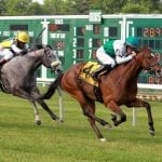 Flashy score for Congrats Gal caps big weekend for Lynch barn