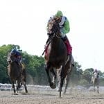 Split Time rolls in Alma North