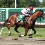 For trainer Carrasco, good owners and ability to adjust bearing fruit