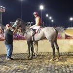 Queen Caroline looks to defend Nellie Mae Cox title