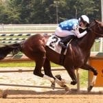 Bombs away as Funtastic upsets United Nations
