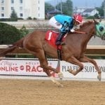 Thoroughbred Idea Foundation to keynote HBPA convention