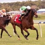 Delaware Park horses to watch: June 2, 2018