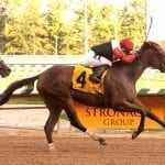Chalon, Chublicious score in MATCH Series races