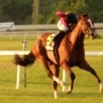 Oak Bluffs, Morticia take MATCH Series races