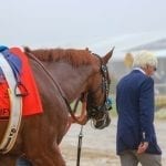 Tequilita headlines Twixt field
