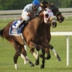 Moonlit Song, Runnin’toluvya give Grams two big stakes shots