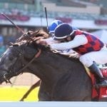 Laurel Park: After a year, Waterhaven returns a winner