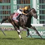 “Stronger, more mature” Good Magic easily best in Haskell