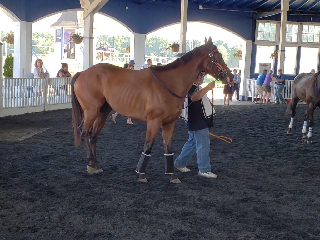 Waterhaven