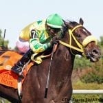 MATCH Series: Smiling Causeway, Vision Perfect score in turf sprints