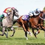 Untamed Domain favored in G3 Kent