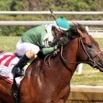 Elate returns from layoff to dominate Delaware Handicap