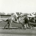 Locals give Jersey flavor to Haskell 2018