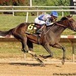 Delaware Park: 7 moments that mattered