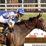 For runner-turned-ponies, new career, same workplace
