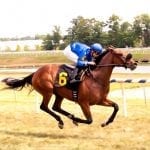 Smith duo seeking Laurel Futurity honors