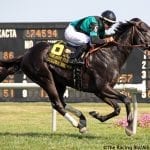 Tequilita headlines Twixt field