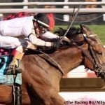 Laurel Park unveils $3.4 million fall stakes program